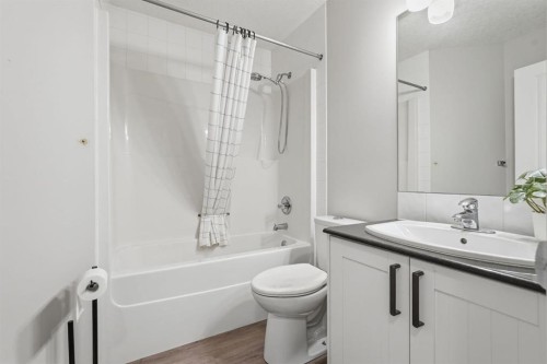 73 Morningside Circle, Airdrie, AB - Indoor Photo Showing Bathroom