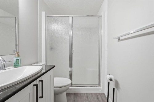 73 Morningside Circle, Airdrie, AB - Indoor Photo Showing Bathroom