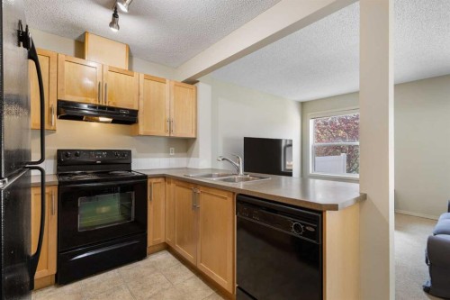 17 Panatella Villas Nw, Calgary, AB - Indoor Photo Showing Kitchen With Double Sink