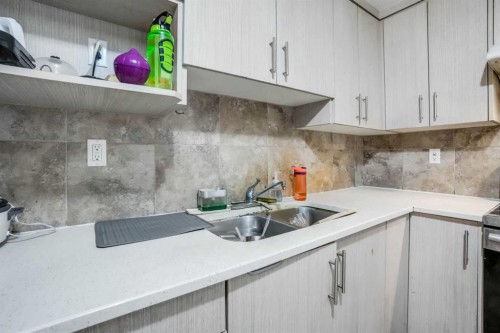 6216 Taralea Park Ne, Calgary, AB - Indoor Photo Showing Kitchen With Double Sink