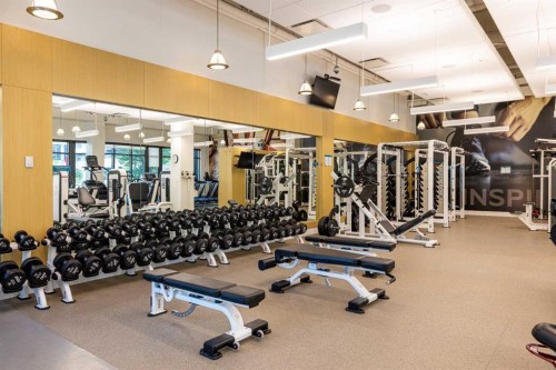 124-Mahogany Centre Centre Se, Calgary, AB - Indoor Photo Showing Gym Room