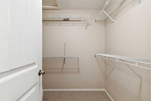 184 Cimarron Park Circle, Okotoks, AB - Indoor With Storage