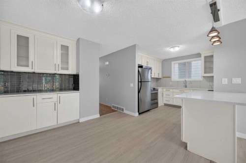 218 Bermuda Drive Nw, Calgary, AB - Indoor Photo Showing Kitchen With Upgraded Kitchen