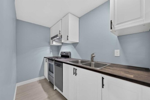 218 Bermuda Drive Nw, Calgary, AB - Indoor Photo Showing Kitchen With Double Sink