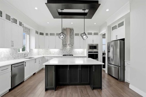 111 Kinniburgh Place, Chestermere, AB - Indoor Photo Showing Kitchen With Stainless Steel Kitchen With Upgraded Kitchen
