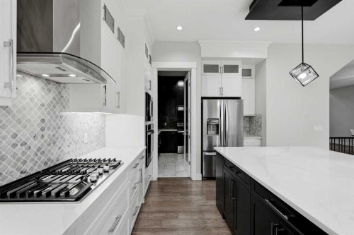111 Kinniburgh Place, Chestermere, AB - Indoor Photo Showing Kitchen With Stainless Steel Kitchen With Upgraded Kitchen
