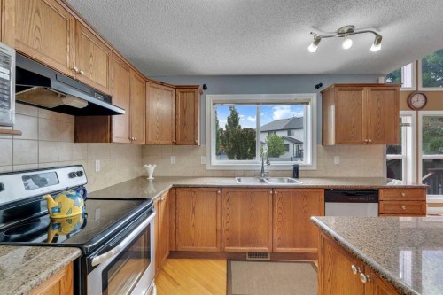169 West Creek Boulevard, Chestermere, AB - Indoor Photo Showing Kitchen With Double Sink