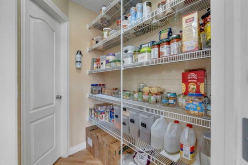 169 West Creek Boulevard, Chestermere, AB - Indoor With Storage