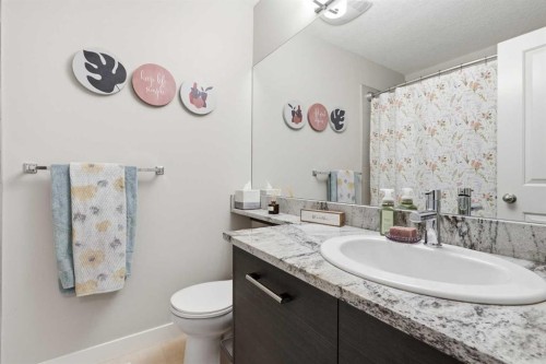 17 Stonehouse Crescent Nw, High River, AB - Indoor Photo Showing Bathroom