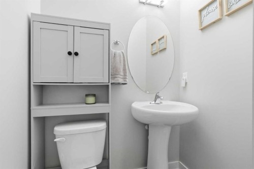 17 Stonehouse Crescent Nw, High River, AB - Indoor Photo Showing Bathroom