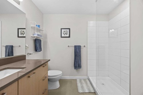 231-721 4 Street Ne, Calgary, AB - Indoor Photo Showing Bathroom
