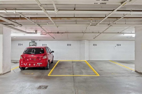 231-721 4 Street Ne, Calgary, AB - Indoor Photo Showing Garage