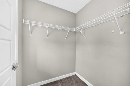 469 Skyview Shores Manor Ne, Calgary, AB - Indoor With Storage
