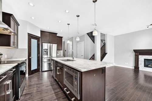 469 Skyview Shores Manor Ne, Calgary, AB - Indoor Photo Showing Kitchen With Upgraded Kitchen