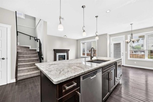 469 Skyview Shores Manor Ne, Calgary, AB - Indoor Photo Showing Kitchen With Fireplace With Double Sink With Upgraded Kitchen