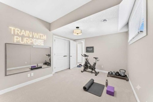 96 Cranarch Heights Se, Calgary, AB - Indoor Photo Showing Gym Room