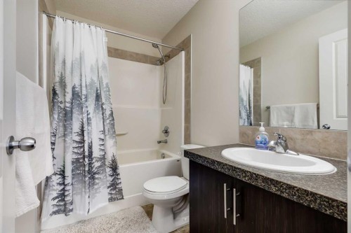 72 Copperpond Landing Se, Calgary, AB - Indoor Photo Showing Bathroom