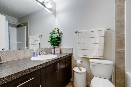 72 Copperpond Landing Se, Calgary, AB - Indoor Photo Showing Bathroom