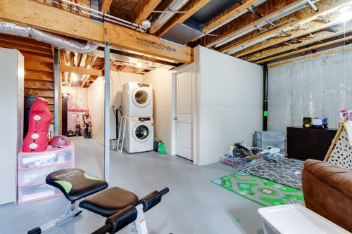 72 Copperpond Landing Se, Calgary, AB - Indoor Photo Showing Basement