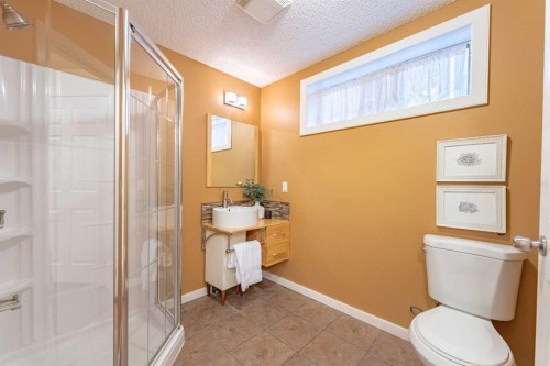 46 Mountain Park Drive Se, Calgary, AB - Indoor Photo Showing Bathroom