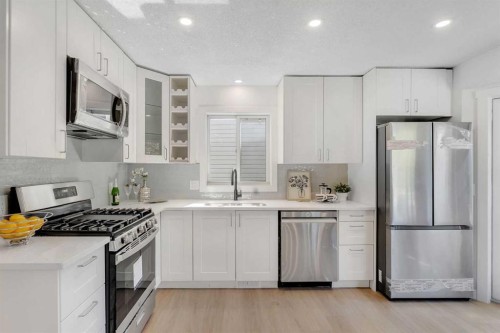 29 Douglas Glen Crescent Se, Calgary, AB - Indoor Photo Showing Kitchen With Upgraded Kitchen