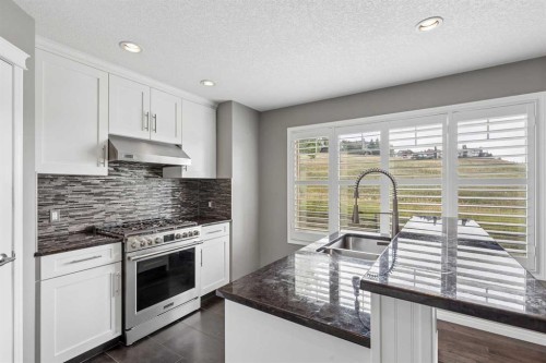 139 Hidden Creek Gardens Nw, Calgary, AB - Indoor Photo Showing Kitchen With Double Sink With Upgraded Kitchen