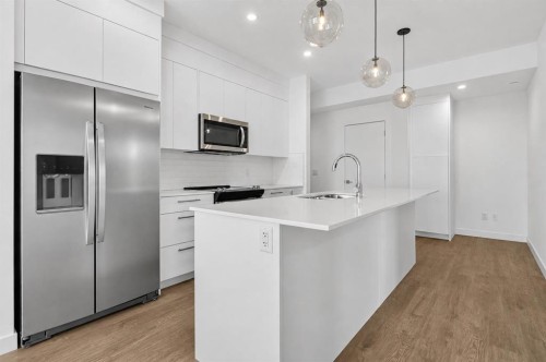1522-265 Wolf Willow Boulevard Se, Calgary, AB - Indoor Photo Showing Kitchen With Upgraded Kitchen