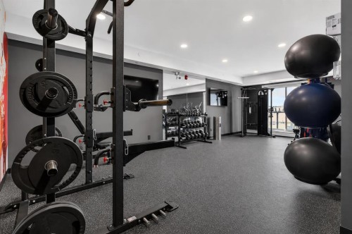 1522-265 Wolf Willow Boulevard Se, Calgary, AB - Indoor Photo Showing Gym Room