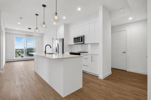 1522-265 Wolf Willow Boulevard Se, Calgary, AB - Indoor Photo Showing Kitchen With Upgraded Kitchen