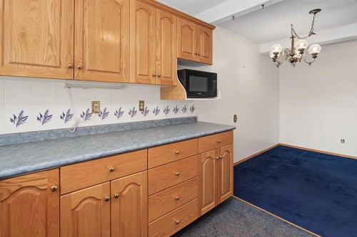 75-175 Manora Place Ne, Calgary, AB - Indoor Photo Showing Kitchen