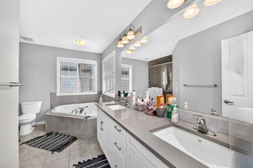 169 Windford Park Sw, Airdrie, AB - Indoor Photo Showing Bathroom