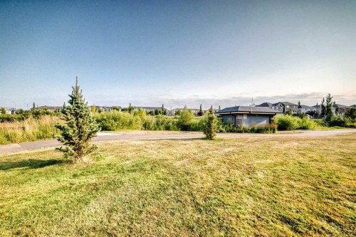169 Windford Park Sw, Airdrie, AB - Outdoor With View