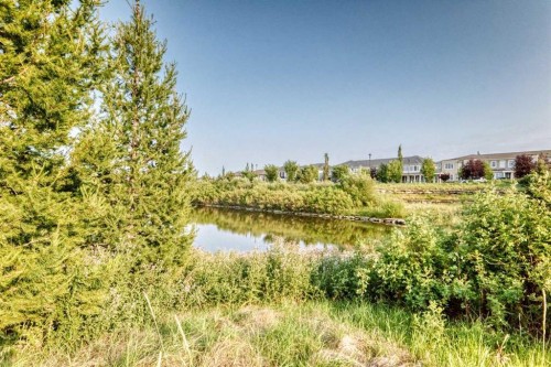169 Windford Park Sw, Airdrie, AB - Outdoor With View