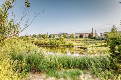 169 Windford Park Sw, Airdrie, AB - Outdoor With View