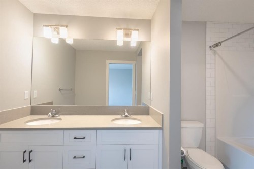 20588 Main Street Se, Calgary, AB - Indoor Photo Showing Bathroom