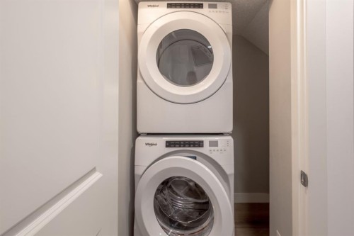 20588 Main Street Se, Calgary, AB - Indoor Photo Showing Laundry Room