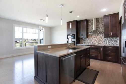 49 Cimarron Springs Circle, Okotoks, AB - Indoor Photo Showing Kitchen With Upgraded Kitchen