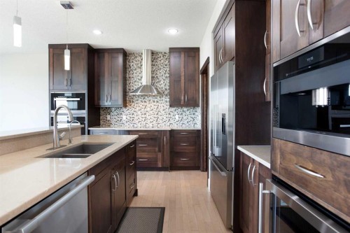 49 Cimarron Springs Circle, Okotoks, AB - Indoor Photo Showing Kitchen With Double Sink With Upgraded Kitchen