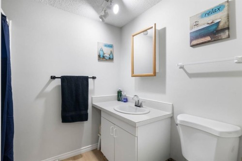 76 Douglas Ridge Close Se, Calgary, AB - Indoor Photo Showing Bathroom