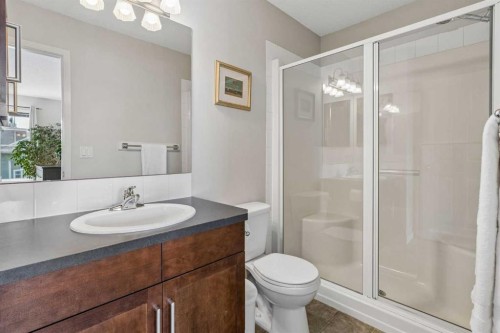 16 Cranberry Green Se, Calgary, AB - Indoor Photo Showing Bathroom