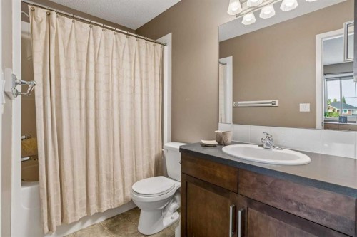 16 Cranberry Green Se, Calgary, AB - Indoor Photo Showing Bathroom