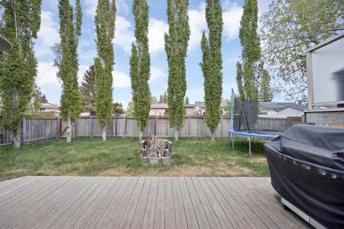 38 Balsam Crescent, Olds, AB - Outdoor With Backyard