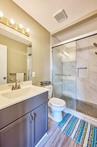 193 Patina Park Sw, Calgary, AB - Indoor Photo Showing Bathroom