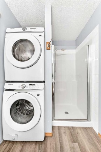 87 Tarington Road Ne, Calgary, AB - Indoor Photo Showing Laundry Room