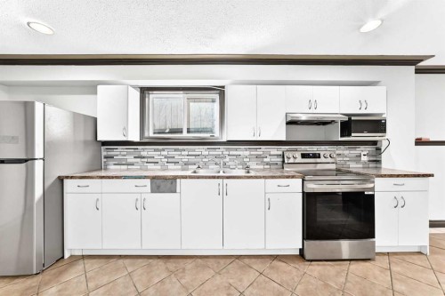 87 Tarington Road Ne, Calgary, AB - Indoor Photo Showing Kitchen With Double Sink