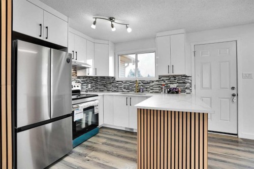 55 Falton Close Ne, Calgary, AB - Indoor Photo Showing Kitchen With Stainless Steel Kitchen With Upgraded Kitchen