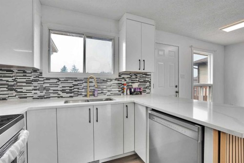 55 Falton Close Ne, Calgary, AB - Indoor Photo Showing Kitchen With Double Sink