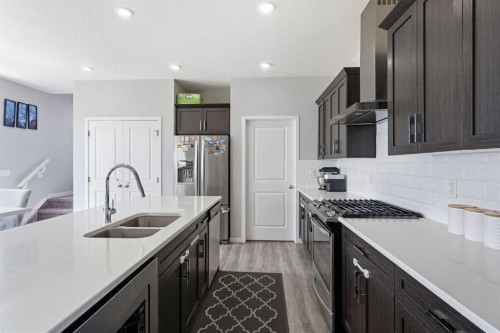 78 Red Sky Road Ne, Calgary, AB - Indoor Photo Showing Kitchen With Double Sink With Upgraded Kitchen