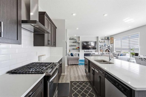 78 Red Sky Road Ne, Calgary, AB - Indoor Photo Showing Kitchen With Stainless Steel Kitchen With Double Sink With Upgraded Kitchen