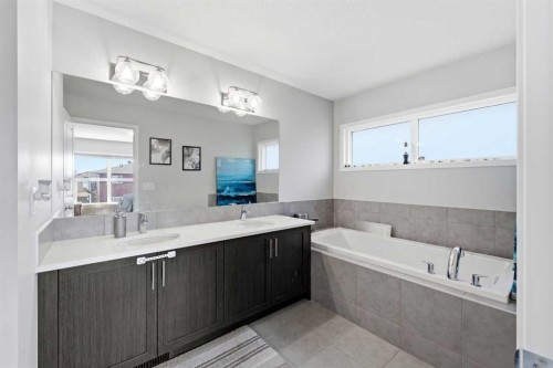 78 Red Sky Road Ne, Calgary, AB - Indoor Photo Showing Bathroom